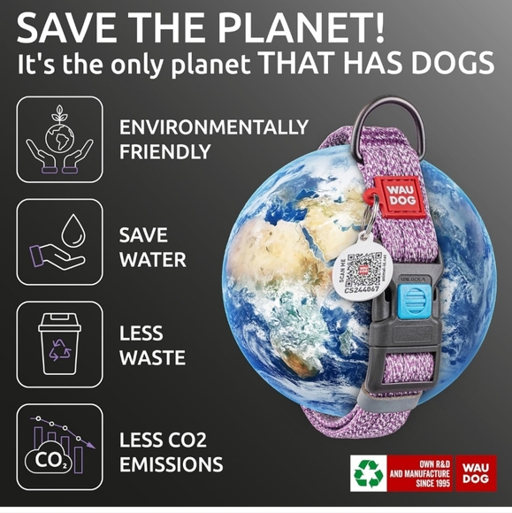 ID Tag Collar for Dogs 1 Pc - Picture 3 of 7